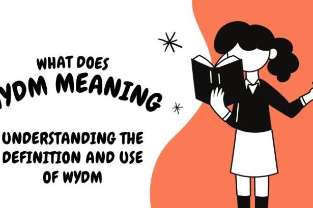 WYDM Meaning
