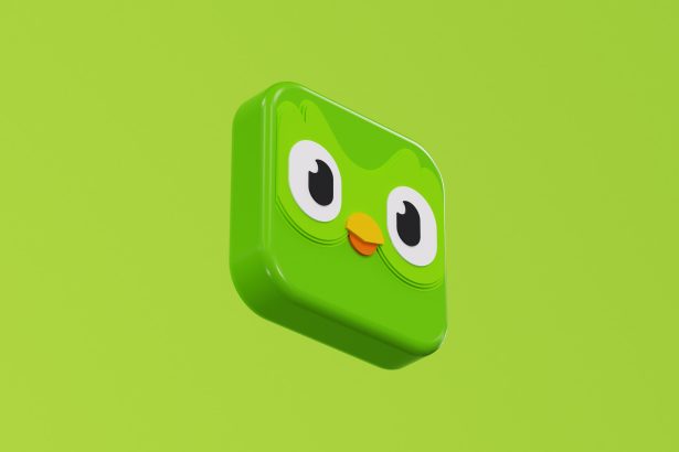 How to Get Duolingo Promo Codes
